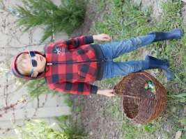 louis